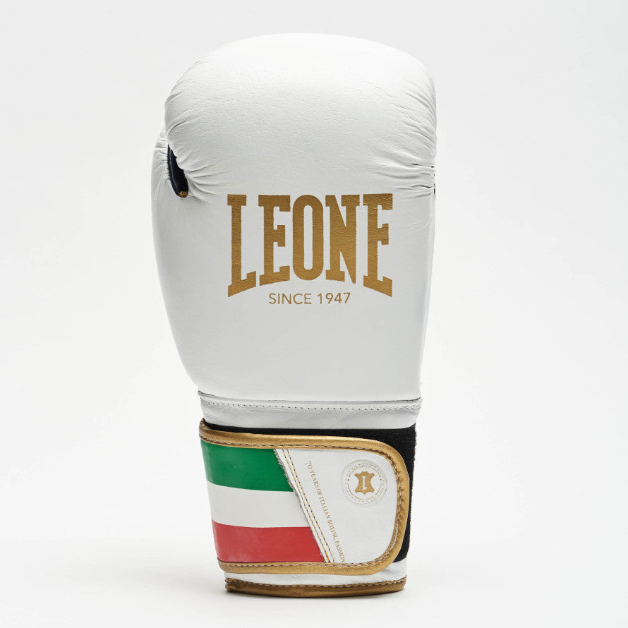GUANTI BOXE ITALY '47