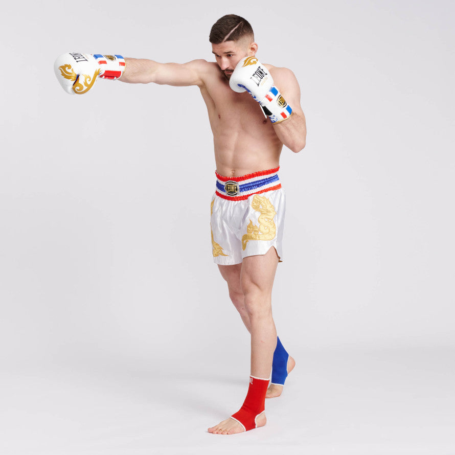 GUANTI BOXE THAI STYLE