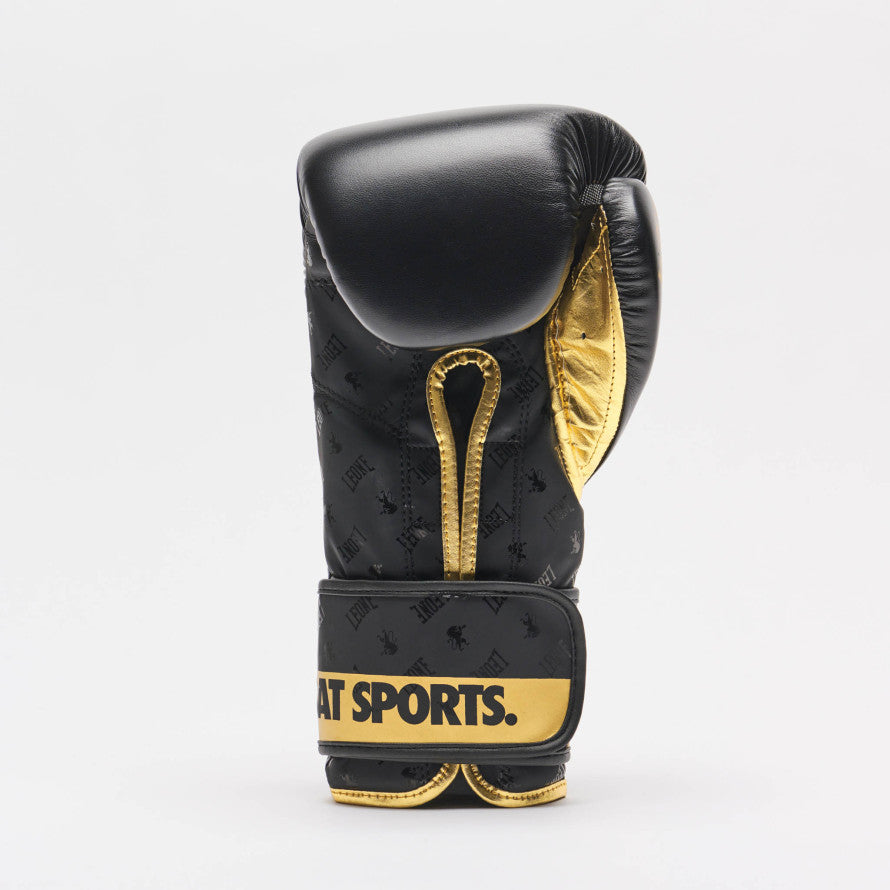 GUANTI BOXE DNA