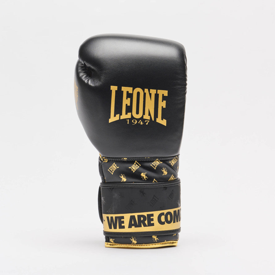 GUANTI BOXE DNA