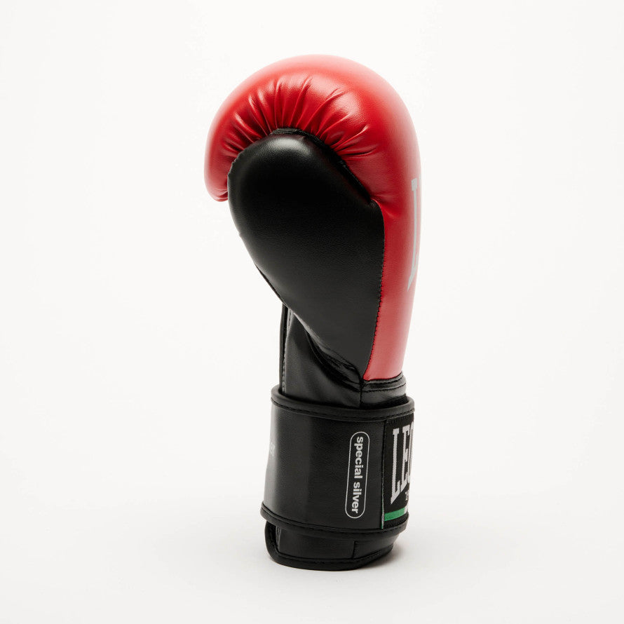 GUANTI BOXE THUNDER