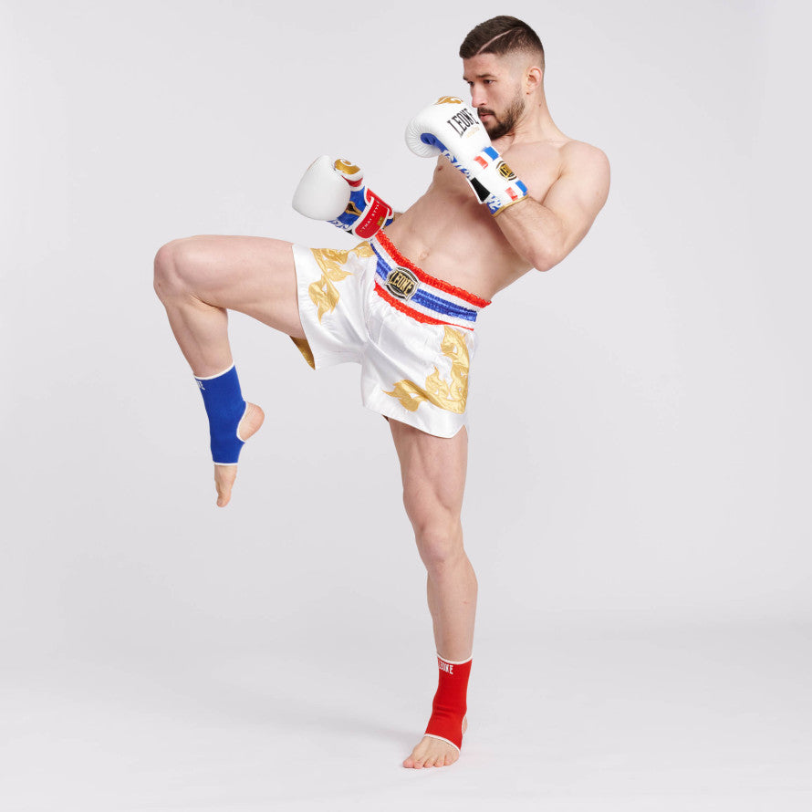 GUANTI BOXE THAI STYLE