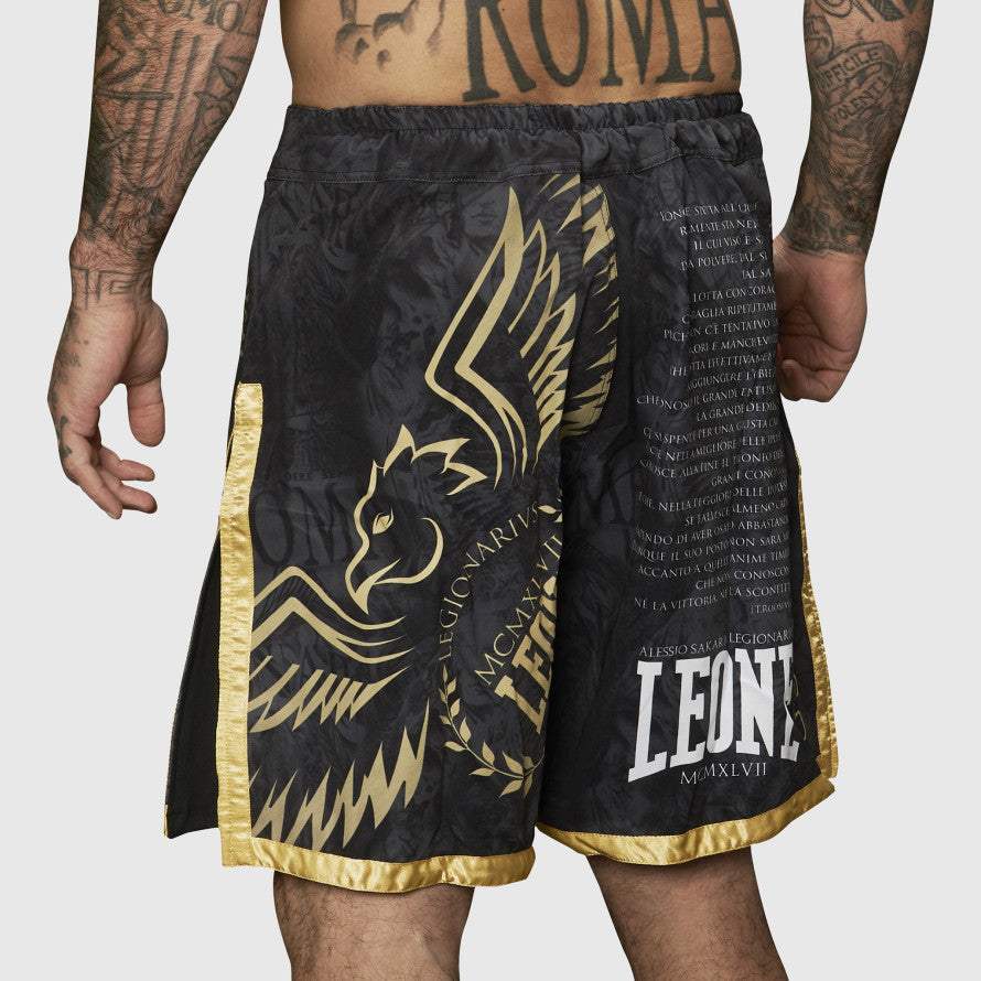 PANTA MMA LEGIONARIVS II