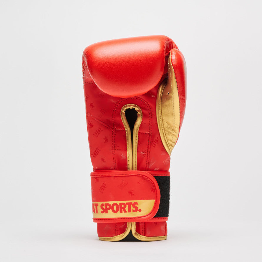 GUANTI BOXE DNA
