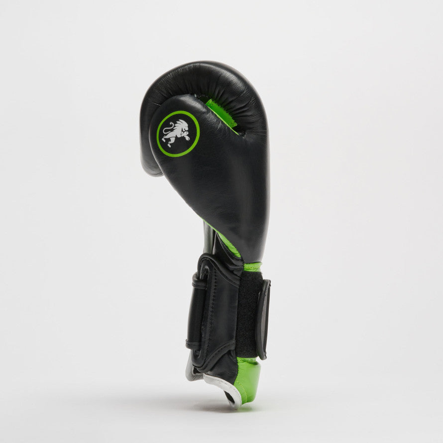 GUANTI BOXE PROFESSIONAL 2