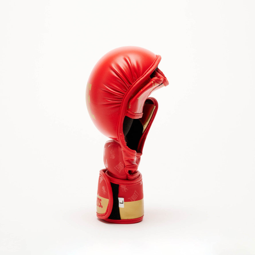 GUANTI MMA DNA