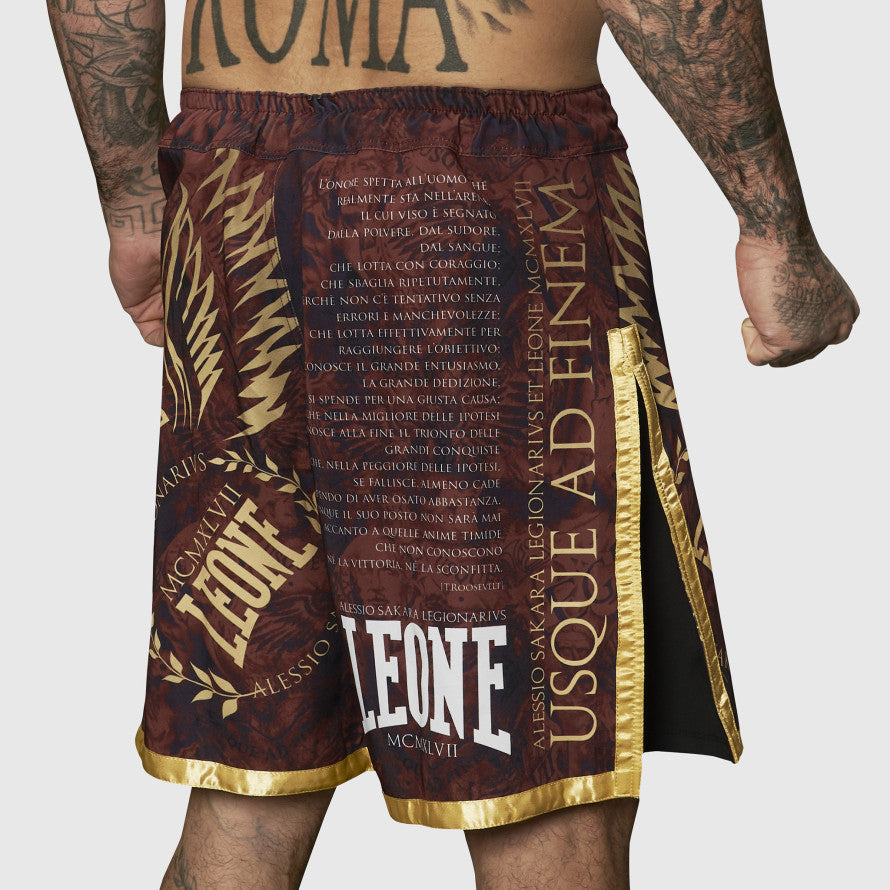 PANTA MMA LEGIONARIVS II