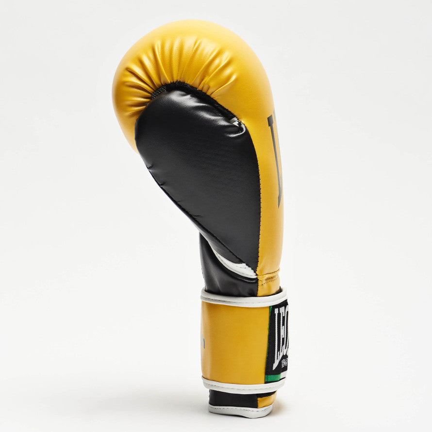 GUANTI BOXE FLASH