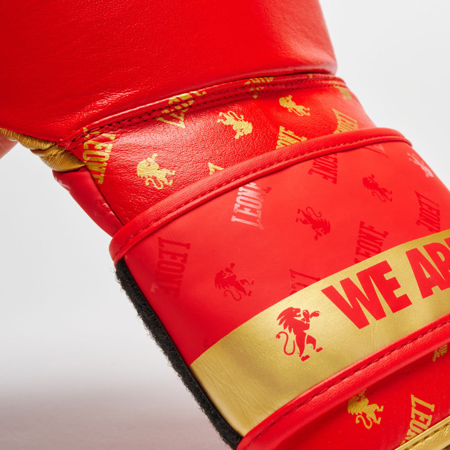 GUANTI BOXE DNA