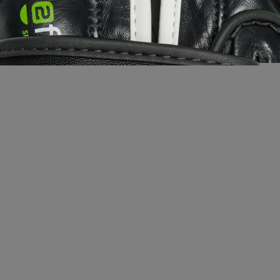 GUANTI BOXE PROFESSIONAL 2